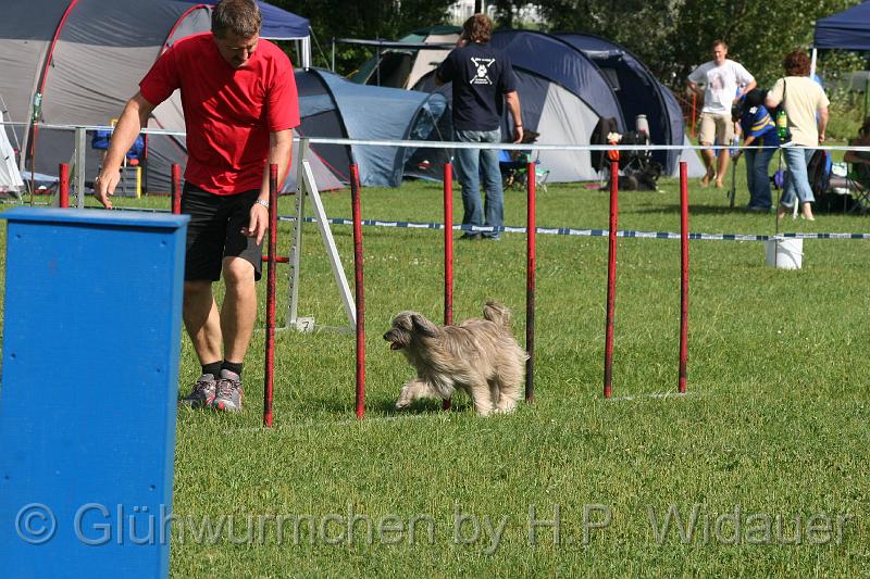 gluehwuermchen08 094 (30).jpg